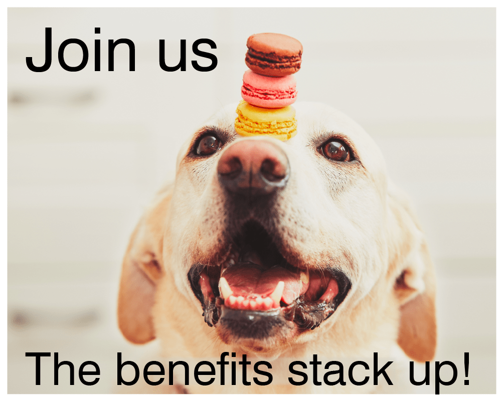 The benefits stack up at Tegra Medial